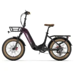 Lankeleisi GOLF-X – Fat Bike électrique pliant 20" 960 Wh 85 Nm – Image 4